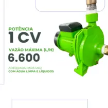 Bomba Centrífuga Eurobombas EB1000M 1CV Monofásica 220V