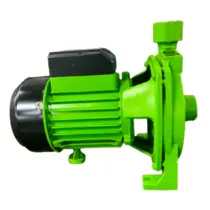 Bomba Centrífuga Eurobombas EB1000M 1CV Monofásica 220V