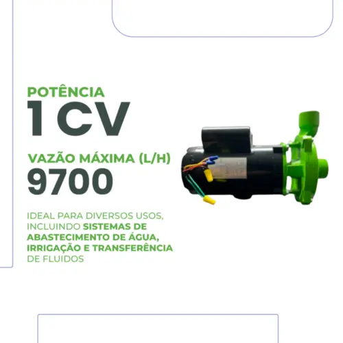 Bomba Centrífuga Monoestágio Eurobombas Emc100 1cv Monofásica 110/220v Bivolt