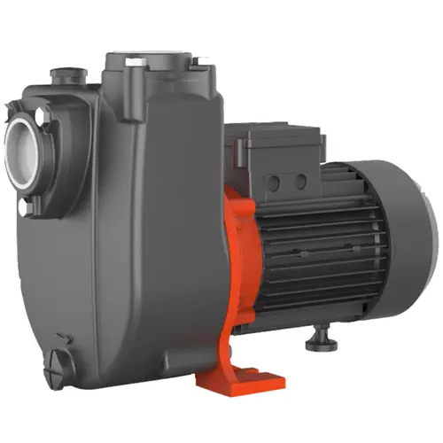 Bomba Autoaspirante Lepono XHSM 1500 1,5CV Bivolt