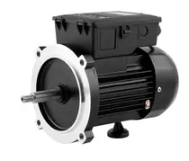 Motor Elétrico Eurobombas EB-R180 1/4 CV 2 Polos Monofásico 110/220V 60Hz (Alta Rotação)