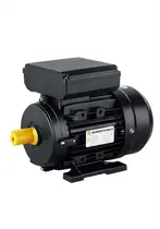 Motor Elétrico Eurobombas EB-M2200 3 CV 2 Polos Monofásico 110/220V 60Hz (Alta Rotação)