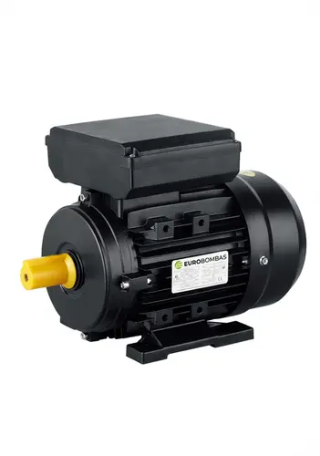 Motor Elétrico Industrial Eurobombas EB-M1500-B 2 CV 4 Polos Monofásico 110/220V Bivolt 60Hz (Baixa Rotação)