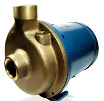 Eletrobomba Sanitaria Rowa 20/1 Monofasico 220V