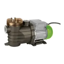 Bomba Para Piscina Eurobombas Eb Pool-180m 0,25cv Monofásica 220v