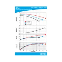 Bomba Para Piscina Dancor PF-22 3 CV Monofásica 110/220V com Pré-Filtro - Até 260.000 Litros