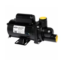 Bomba para Hidromassagem Dancor HAD-W7C 1/2CV IP21 FC122 Monofásico 110/220V Bivolt 60HZ
