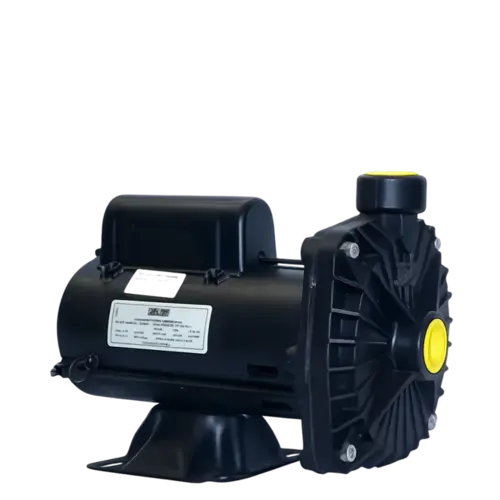 Bomba Centrífuga Dancor Cp-6r 3/4 Cv Monofásica 110v/220v