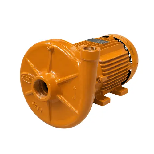Bomba Centrífuga Monoestágio Jacuzzi 2dm1 2Cv Monofásica 127/220V