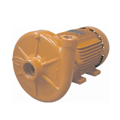 Bomba Centrífuga Monoestágio Jacuzzi 1DH1.1/2 1 CV Trifásica 220/380V