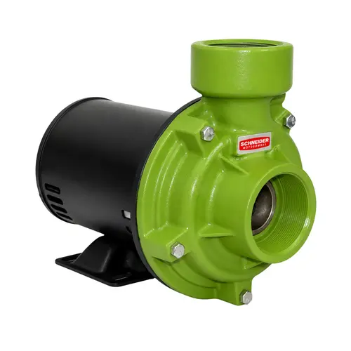 Bomba Centrífuga Monoestágio Schneider Bc-92s R 2.1/2 3CV Trifásica 220V/380V