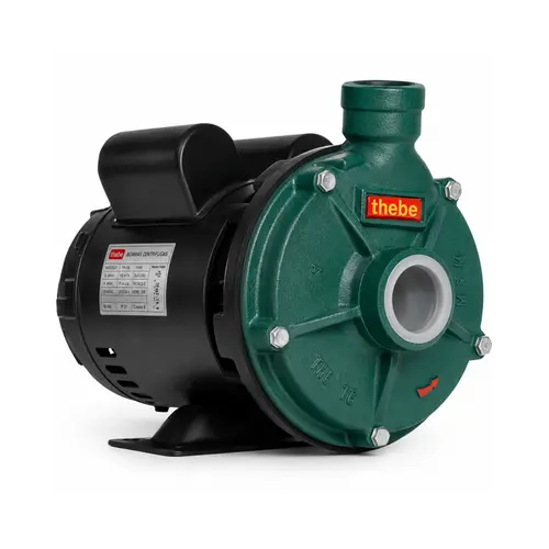Bomba Monoestágio Thebe TH-16NR Motor Thebe 3CV IP23 Monofásico 110V/220-254V Rotor 159mm