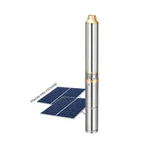 Bomba Submersa Solar Lepono 3" CPIP108-750-3.2-98-75 750W 108V