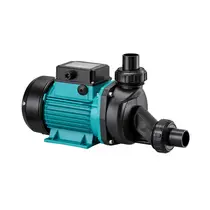 Bomba Para Hidromassagem Lepono Lspa 1300 1,5 Cv Monofásica 220v
