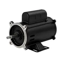 Motor Elétrico Weg Jet Pump W48J 1/2CV 2 Polos Monofásico 110/220V