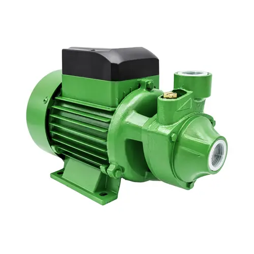 Bomba Periférica Schneider PG-10 1CV Monofásica 220V
