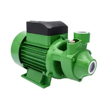 Bomba Periférica Schneider PG-10 1CV 2 Polos IP44 Monofásico 127V 60HZ