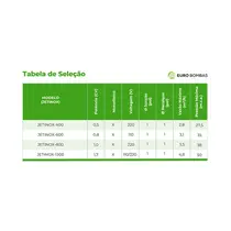 Bomba Autoaspirante Eurobombas Jetinox-400 1/2CV Monofásica 220V - Até 30 Metros