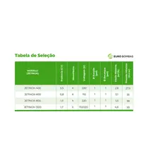 Bomba Autoaspirante Eurobombas Jetinox-1300 1,76CV Monofasica 220V - Até 50 metros