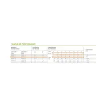 Bomba Submersa Caneta Eurobombas 3ESM2-13 3/4CV 3 Polegadas Monofásica 220V - Com Control Box