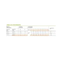 Bomba Submersa Caneta Eurobombas 3ESM2-30 2CV 3 Polegadas Monofásica 220V - Com Control Box