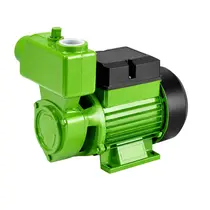 Bomba Periférica Autoaspirante Eurobombas AP-750 1CV Monofásica 127/220V Bivolt