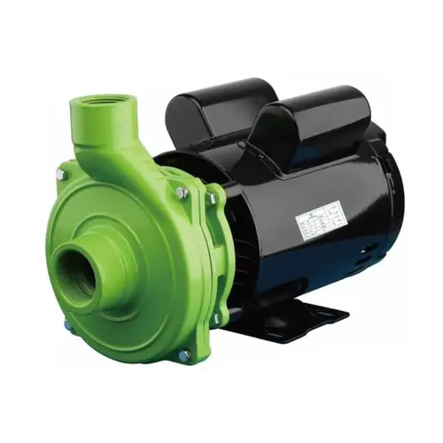 Bomba Centrífuga Monoestágio Eurobombas Emc100 1cv Monofásica 110/220v Bivolt