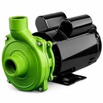 Bomba Centrífuga Monoestágio Eurobombas Emc200 2cv Monofásica 110/220v Bivolt