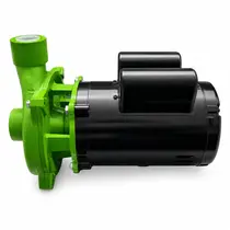 Bomba Centrífuga Monoestágio Eurobombas Emc200 2cv Monofásica 110/220v Bivolt