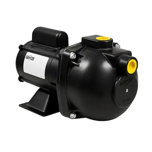 Bomba Autoaspirante Dancor AP-3 2CV Trifásico 220/380V IR3 FC165FF