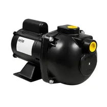Bomba Autoaspirante Dancor AP-3 2CV Trifásico 220/380V IR3 FC165FF