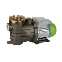 Bomba Para Piscina Eurobombas Eb Pool-250m 0,33cv Monofásica 110v