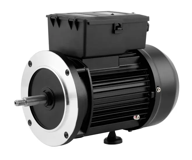Motor Elétrico Eurobombas EB-R1100 1,5 CV 2 Polos Monofásico 110/220V 60Hz (Alta Rotação)