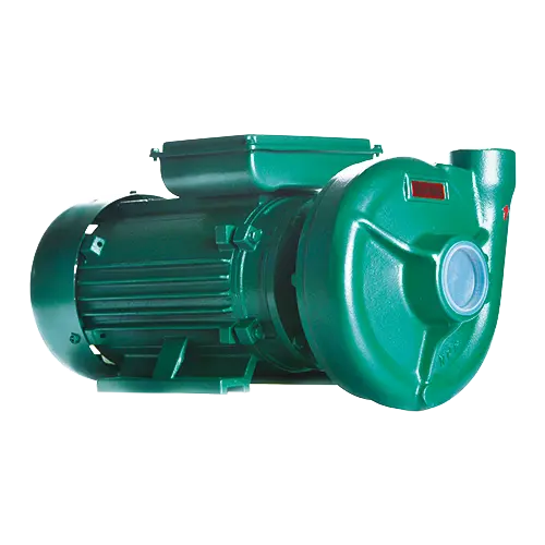 Bomba Centrífuga Thebe THS-18R 3CV Motor Thebe Rotor 123mm IP55 Trifásica 220V/380V/440V