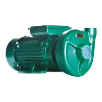 Bomba Centrífuga Thebe THS-18R 3CV Motor Thebe Rotor 123mm IP55 Trifásica 220V/380V/440V