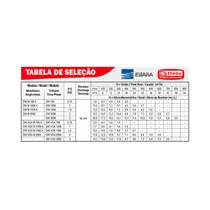 Bomba Submersível Ebara DW VOX 1006 1CV Trifásica 380V 60Hz